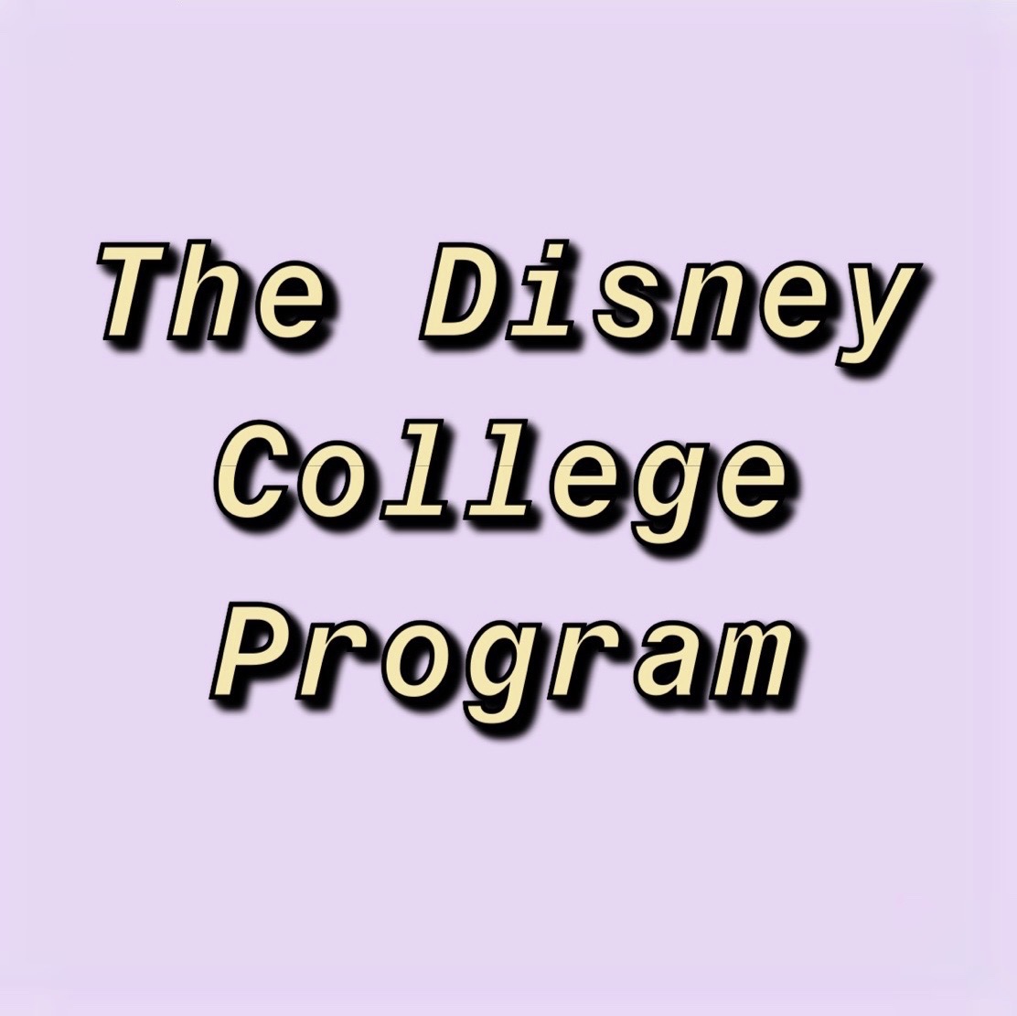 purple box with text 'Disney College Program'